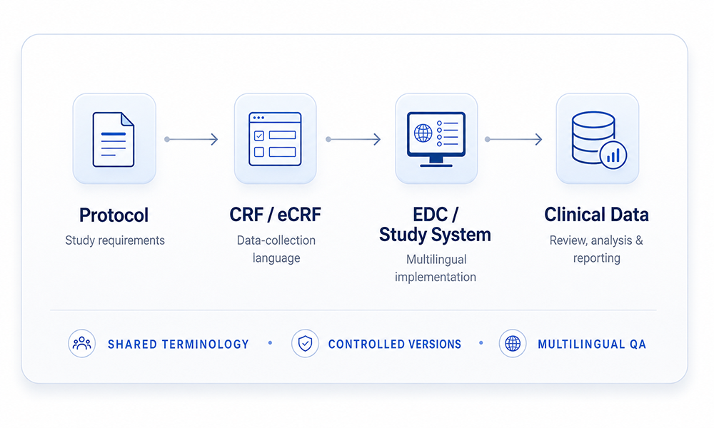 Protocol to clinical data workflow