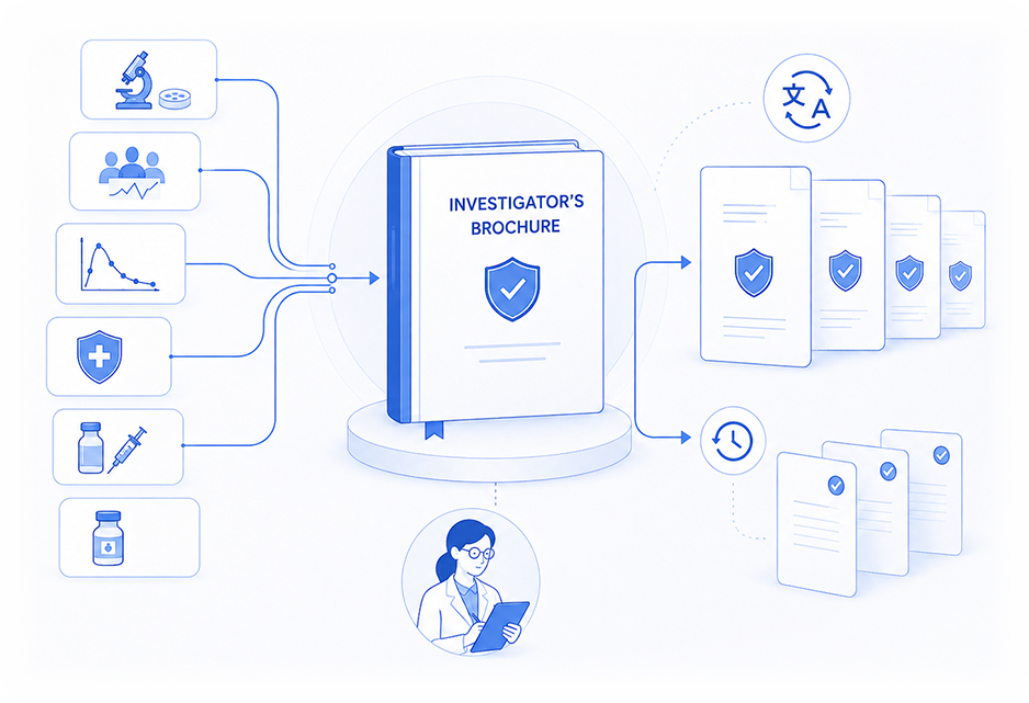 Investigator’s Brochure Translation Services